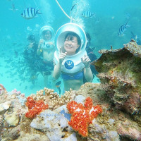 Cham Island Walking Underwater Seatrek