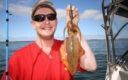 Cham Island Squid Fishing Tours