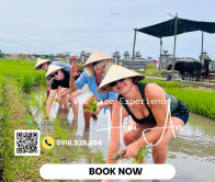 Hoi An Wet Rice Growing Daily Tour Half Day Experience
