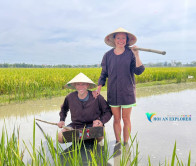 Hoi An Half Day Tour: Wet Rice Growing – Riding Buffalo And Plowing Farm At Cam Thanh