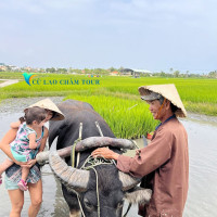 Tour Du Lịch Cù Lao Chàm 1 Ngày – Rừng Dừa Bảy Mẫu