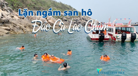 Cham Island Snorkeling – Hoi An Ancient Town 1 Day Tour