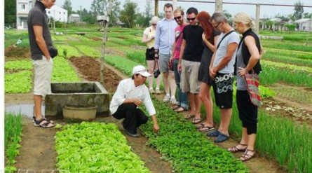 Da Nang Hoi An 3 Days Tour: Marble Mountain – Cooking Class – Cam Thanh Village – Tra Que Village