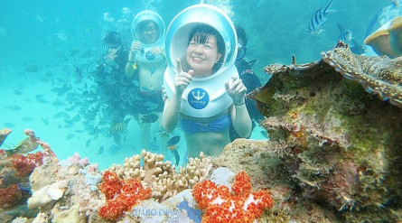 Cham Island Walking Underwater (Seatrek)