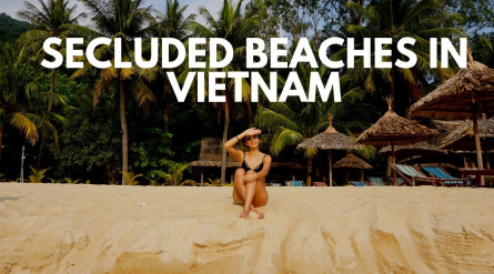 Cham Island Hoi An Group Daily Tour 1 Day