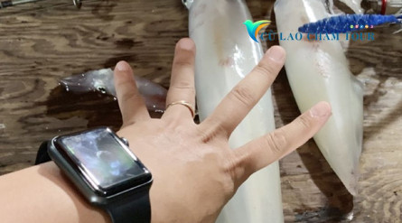 Cham Island Squid Fishing 2 Days 1 Night Tour