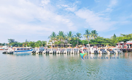Cham Island Ferry: Schedules, Routes & Real Tips from the Dock