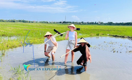 Hoi An Wet Rice Farming With Buffalos – A Unique Experience