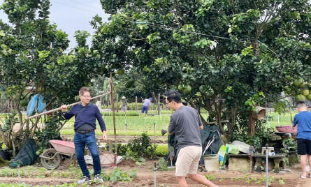 Tra Que Vegetable Village: A Deep Dive into Hoi An’s Agricultural Heritage