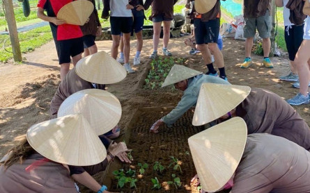 Top Things Attract Tourists At Tra Que Vegetable Village Hoi An
