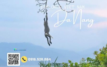 Most Beautiful Beaches In Danang Where You Can Deep On The Sun Whole Day.