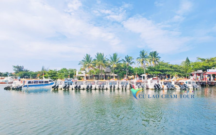 Cham Island Ferry: Schedules, Routes & Real Tips from the Dock