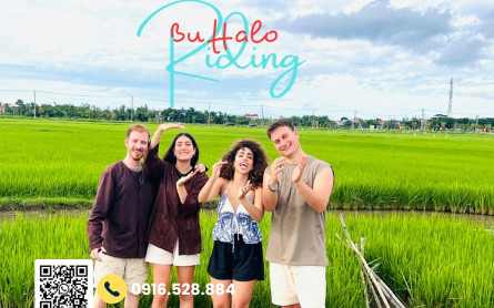 Farmer Experience in Hoi An Vietnam: Planting Rice, Riding Buffaloes with Locals