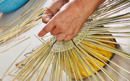 Discovering Hoi An’s Timeless Art: The Beauty of Traditional Rattan Weaving