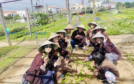 A Guide to your explorer and discover Tra Que Vegetable Village, Hoi An, Quang Nam, Vietnam