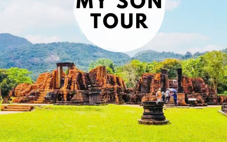 Cracking the Cost of a My Son Sanctuary Tour from Hoi An