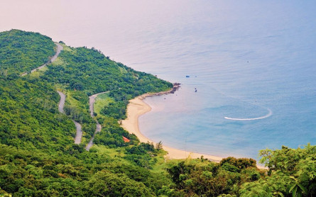 Son Tra Peninsula – Da Nang’s Green Gem