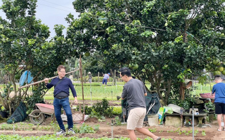 Tra Que Vegetable Village: A Deep Dive into Hoi An’s Agricultural Heritage