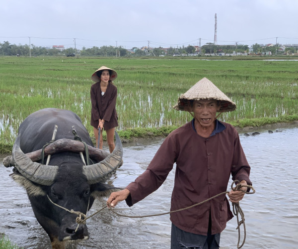 Hoi An Tour Half Day