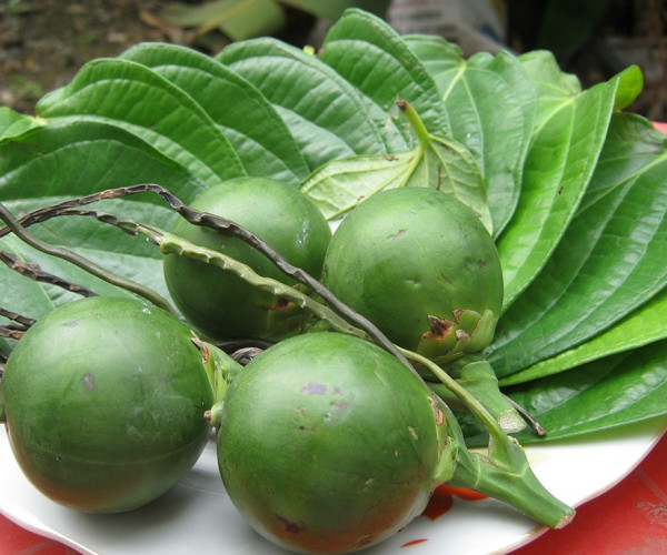 Chewing Betel Tour/ Discovering Hoi An Old Town/ Street Food Tour